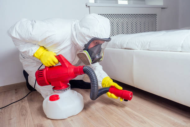Best Affordable Pest Control Services  in Tyndall Af, FL